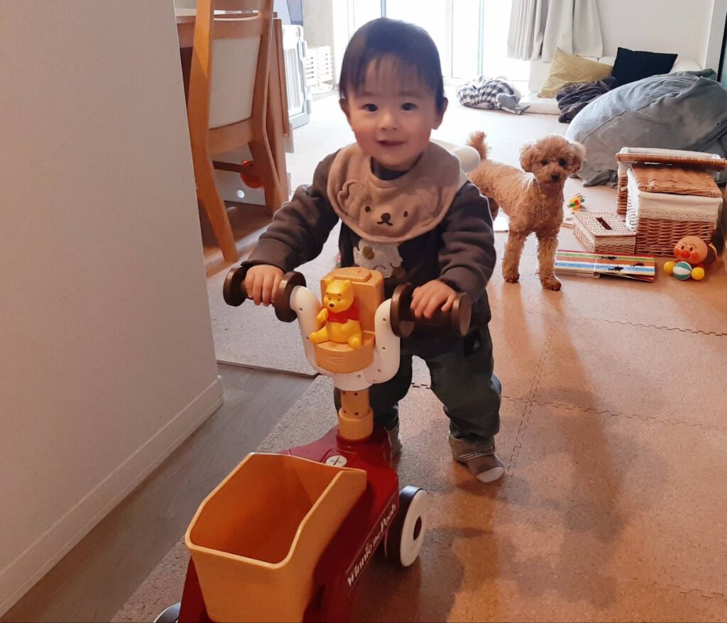 プーさんの手押し車とあかちゃんと愛犬チロルさん