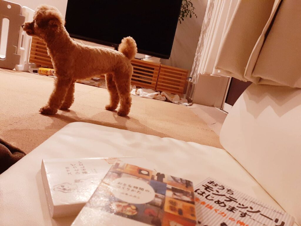 本と愛犬チロルさん