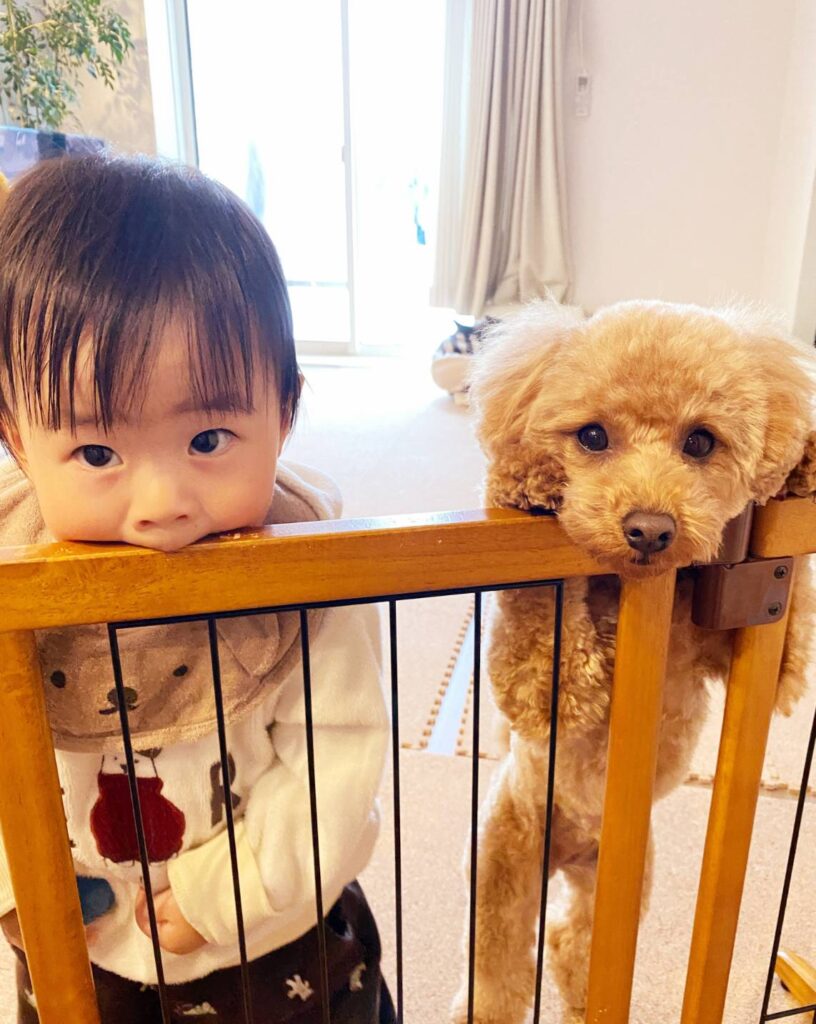 息子と愛犬