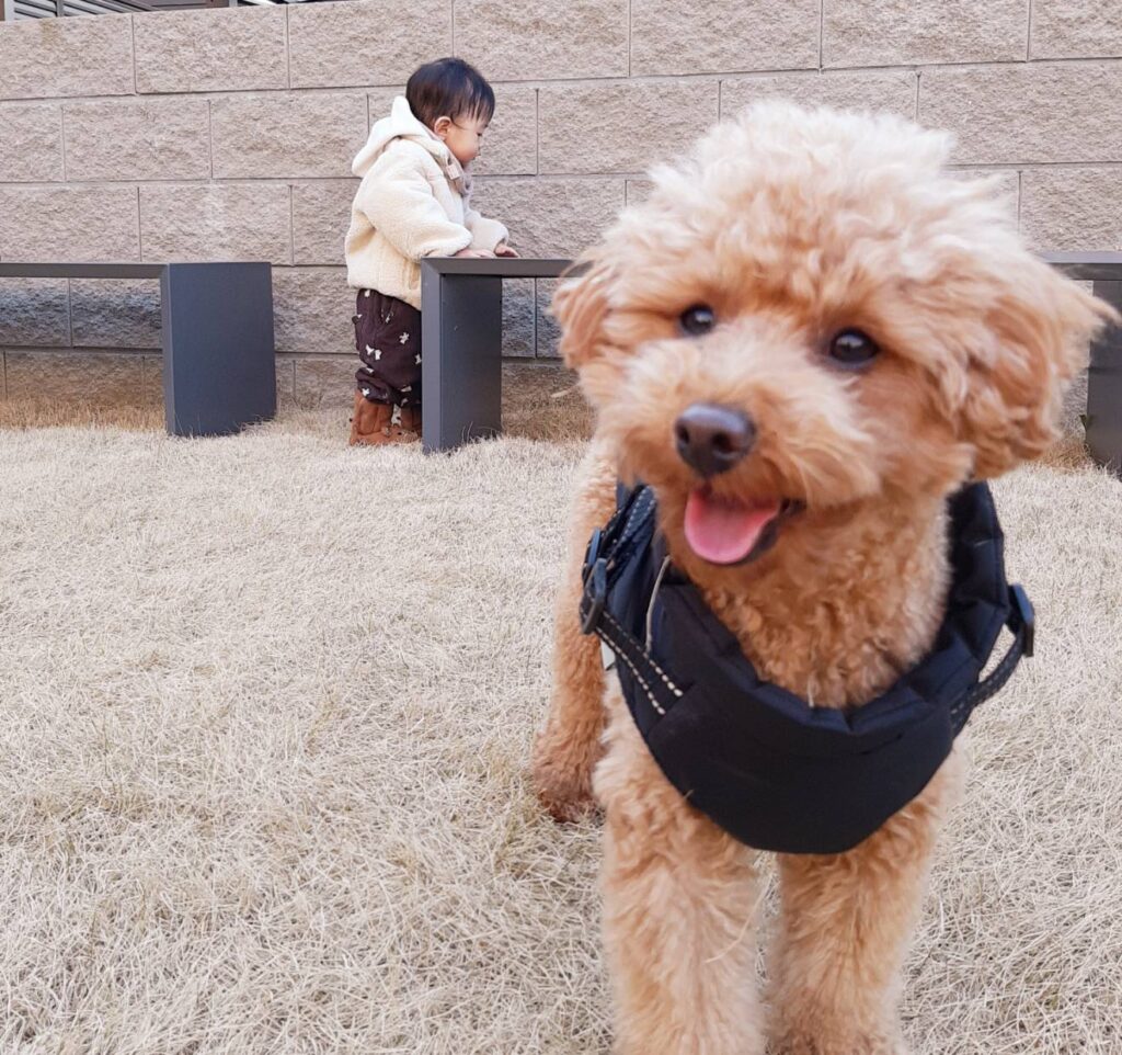 あかちゃんと愛犬