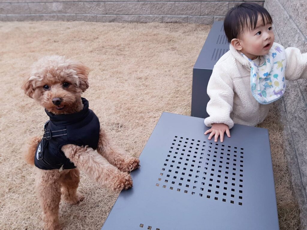 赤ちゃんと愛犬チロルさん