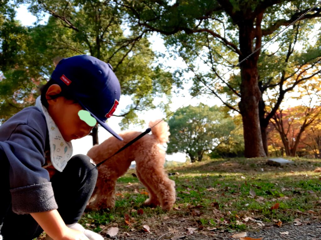 息子と愛犬公園紅葉
