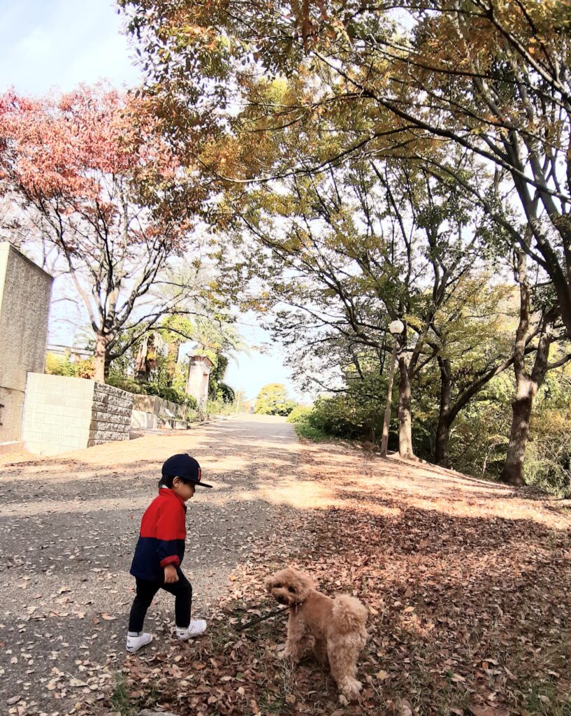 息子と愛犬公園紅葉